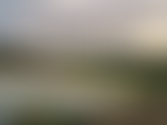 Agricultural Films Market: Analysis of Present and Future Growth | 2035