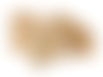 Paper Bag Manufacturing Plant Project Report 2025: Machinery, Raw Materials and Investment Opportunities