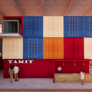 T.A.M.I.T