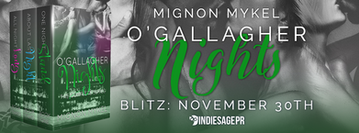 Release Blitz - Gallagher Nights: The Series