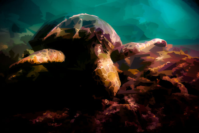 NFT_NatureArt-16.jpg