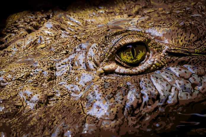 NFT_NatureArt-21.jpg