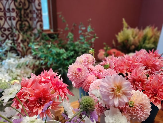 IMG_20240816_103528_Bokeh (1).jpg