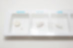 Pill Organizer Tray
