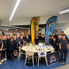 Pyramid Hill students bring house pride to life through banner designs