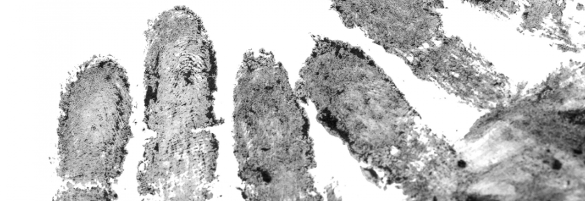 Screen Shot 2018-08-15 at 12.39.58_edite