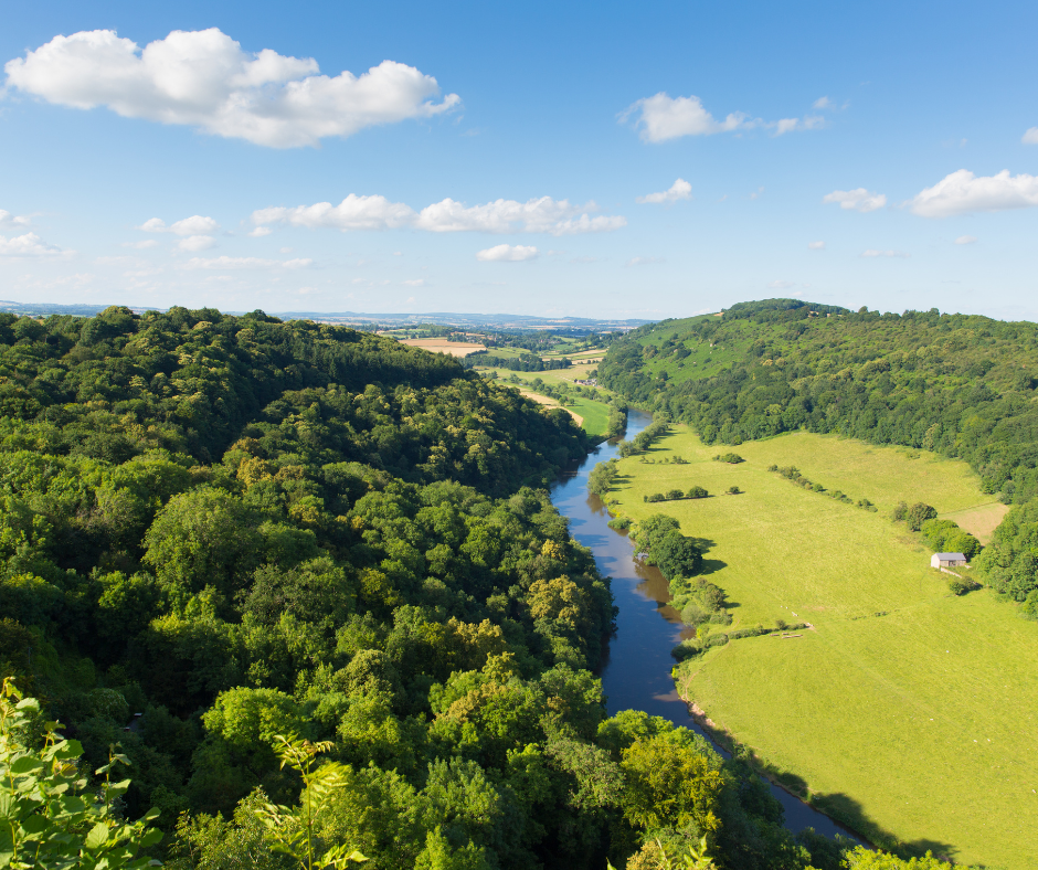 A lush green landscape with a winding river divides dense forests and open fields under a clear blue sky, dotted with fluffy white clouds. Serene and picturesque.