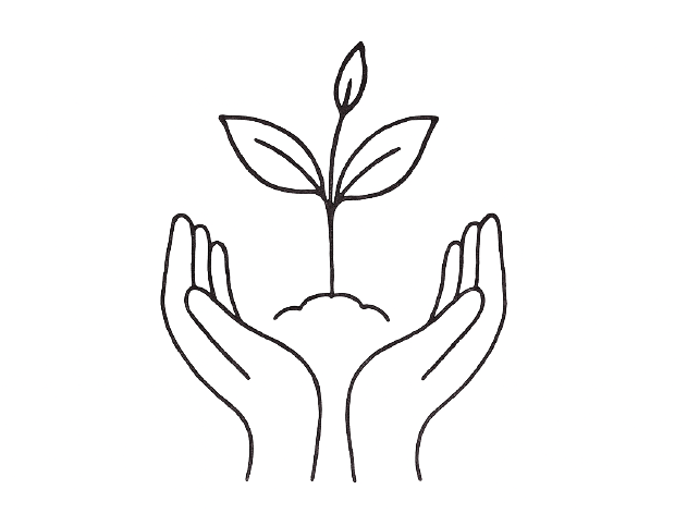 Illustration of two hands cupped facing upwards and a plant growing out the middle