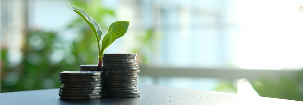 Coins stacked with a small green plant growing from one pile, set against a blurred outdoor background. Bright and hopeful mood.