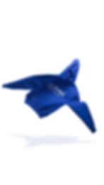 nosi blue hoodie back.jpg