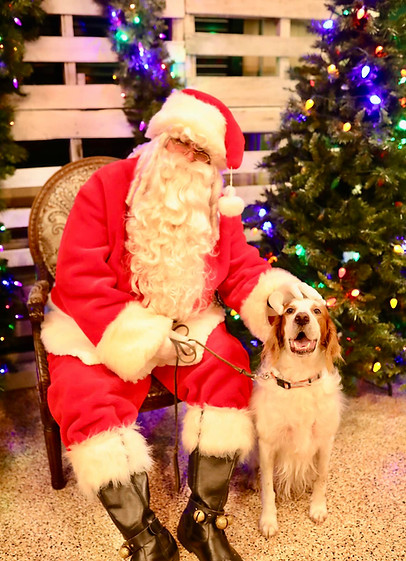 santa volunteer.jpg