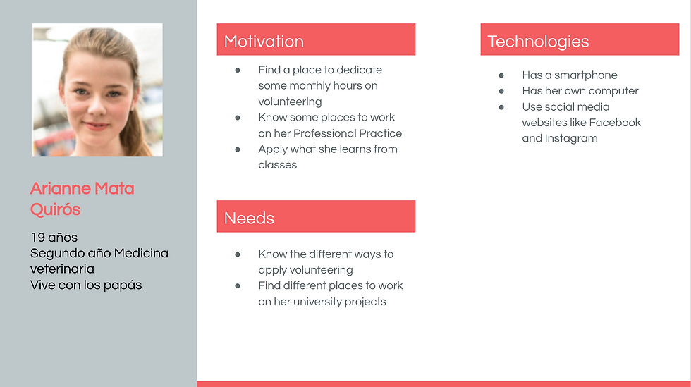 User Persona - Veterinary who wants to develop multiple projects in association