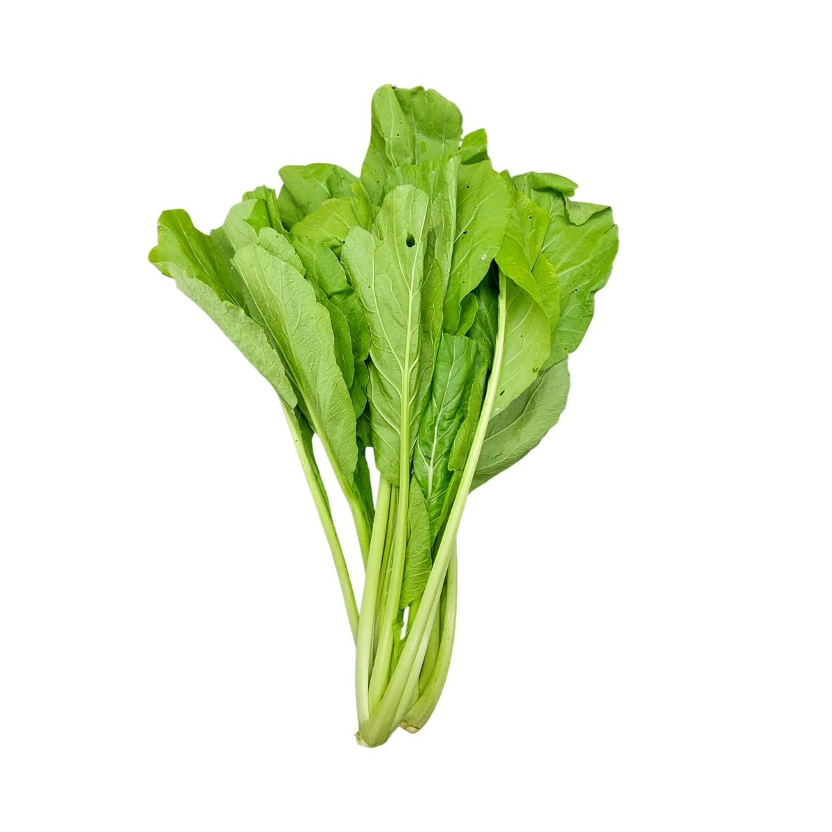 Mustard leaves (sorsu ka saag)/kg