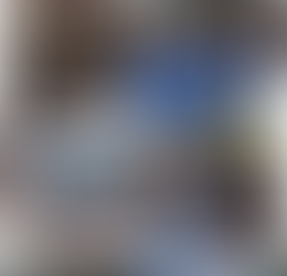 CEBU CITY and HIGHLAND VISTA TOUR