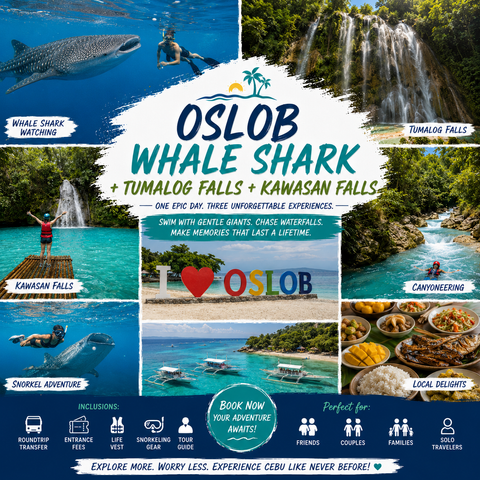 OSLOB WHALE SHARK + TUMALOG FALLS + KAWASAN FALLS (S05)