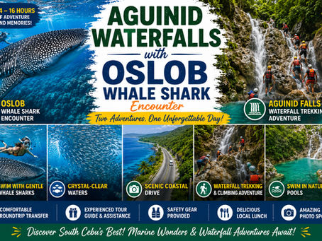 AGUINID WATERFALLS + OSLOB WHALESHARK TOUR (S13)