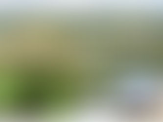 BOHOL COUNTRYSIDE TOUR