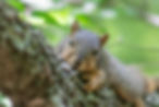 I'm Watching You!.jpg