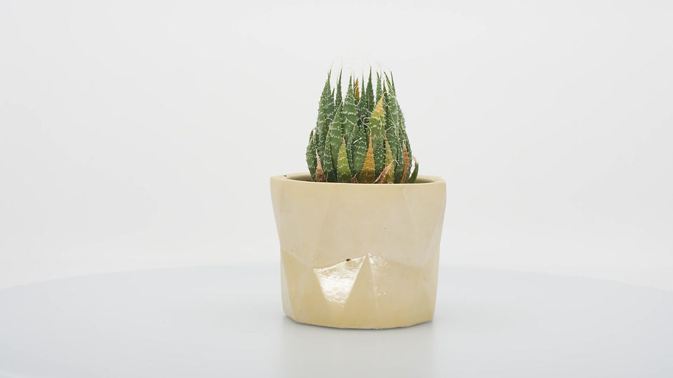 Thumbnail: ENNEAGON YELLOW