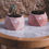 Thumbnail: OCTA PINK POT