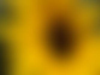 Phern Yoga Student Reviews