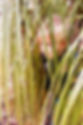 P1060910Web2