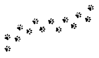 dog paws_edited.png