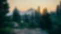 Sonnenuntergang Berge und Tannen.jpg