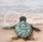 seaturtle bubble fix1