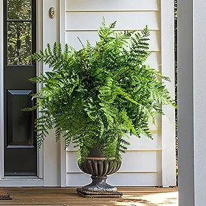 Coastal Summer Porch Refresh with 4PCS Artificial Boston Fern Fake Ferns Hanging Plant UV Resistant Inoor Outdoor Faux Shrubs 19Inch L