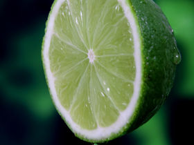 LE CITRON