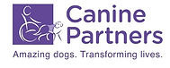 Collections Volunteer