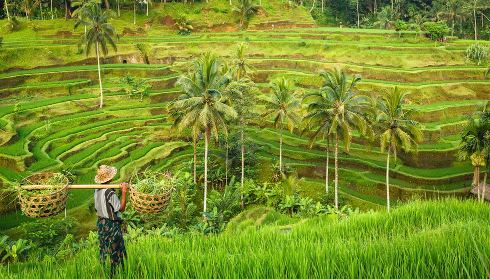 AdobeStock_63311956.jpeg
