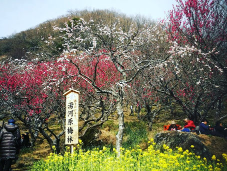 そこにしかないもの。