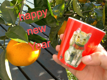 a Happy New Year 2022