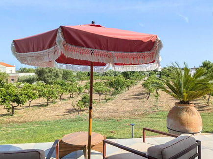 Shaded terrace at Shanti-Som Algarve, looking out across the orchards to open countryside