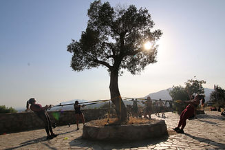 Outdoor boot camp exercise under a tree with mountain views in Marbella
