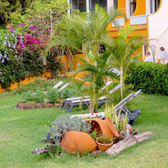 Tropical garden with palms and flowering shrubs at Alpino Atlântico