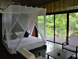 Garden View Chalet at Santani Wellness Resort