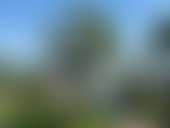 Tranquil poolside view at Chiva-Som Health Resort surrounded by palm trees and Thai-style architecture.