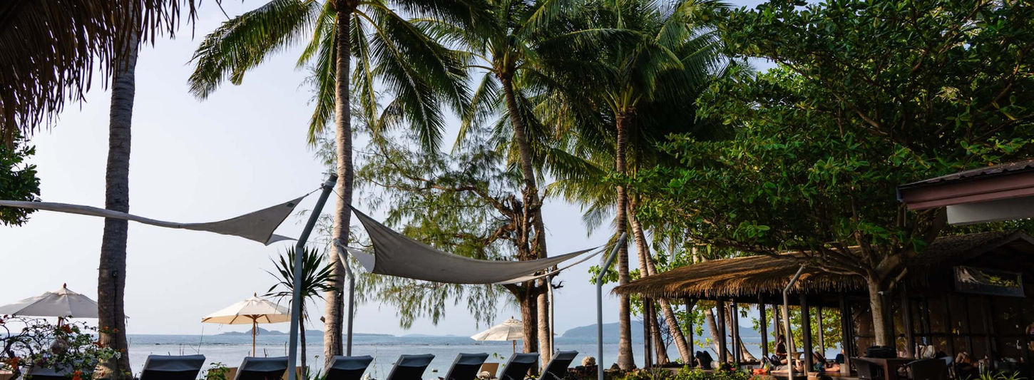 Beachfront pool surrounded by palm trees at Samahita Retreat Thailand