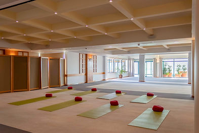 Spacious yoga studio with mats and meditation cushions arranged for a class, featuring natural light and a calm, minimalist design.