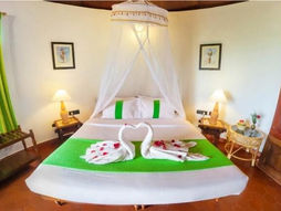Special Cottage at Somatheeram Ayurveda Village in India
