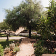 Garden path winding through olive trees and Mediterranean planting at Shanti-Som Algarve