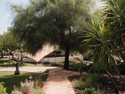Garden path winding through olive trees and Mediterranean planting at Shanti-Som Algarve