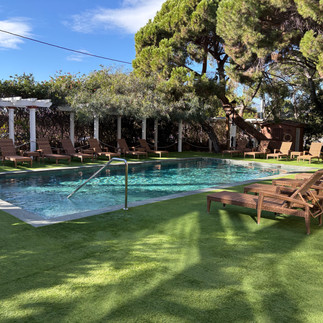 Garden pool area at Palasiet Wellness Clinic surrounded by pine trees and landscaped grounds