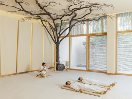 Sound healing Raag therapy session with live flute music at Six Senses Vana wellness retreat.