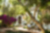 Tranquil garden setting at Marbella Club in Spain with Mediterranean architecture, bougainvillaea, and shaded seating by a reflective pool