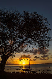Sunset through tropical trees on the grounds of Shanti Maurice Resort & Spa Mauritius