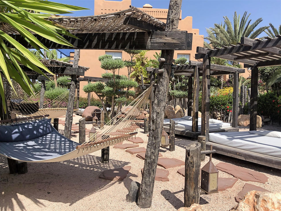 The zen garden